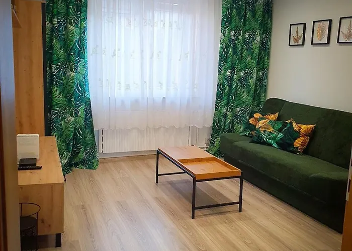 Mieszkanie W Centrum Zabrza