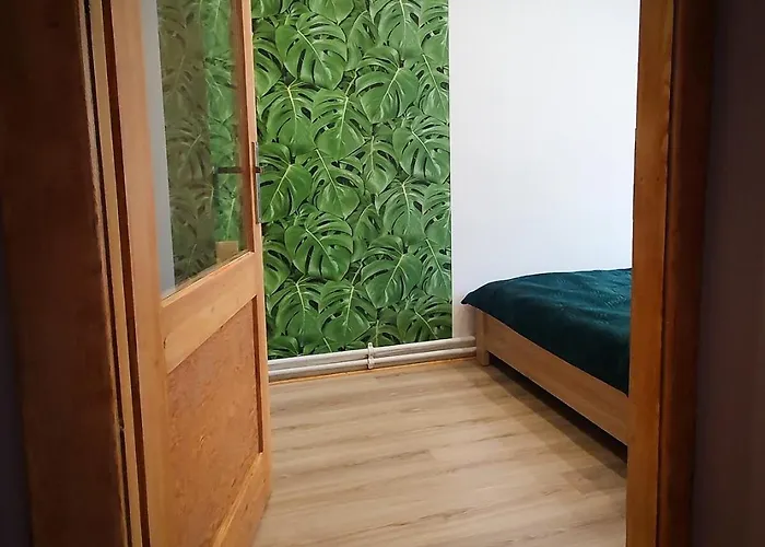 Daire Mieszkanie W Centrum Zabrza