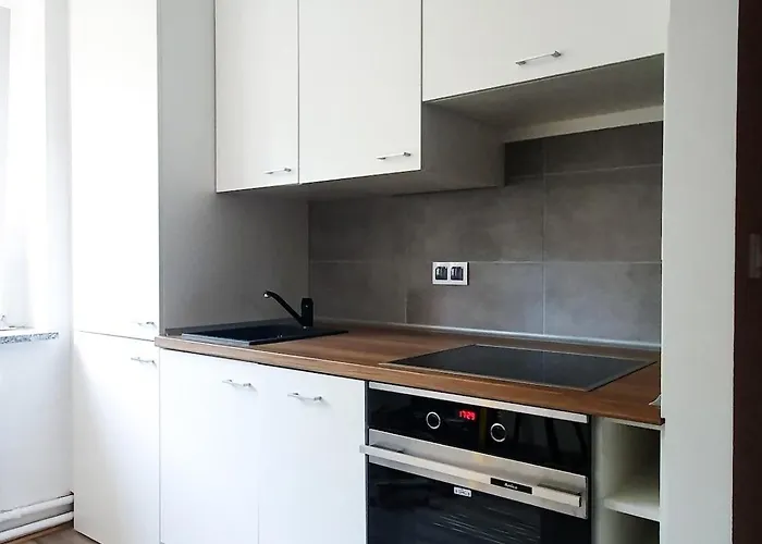 Mieszkanie W Centrum Zabrza *