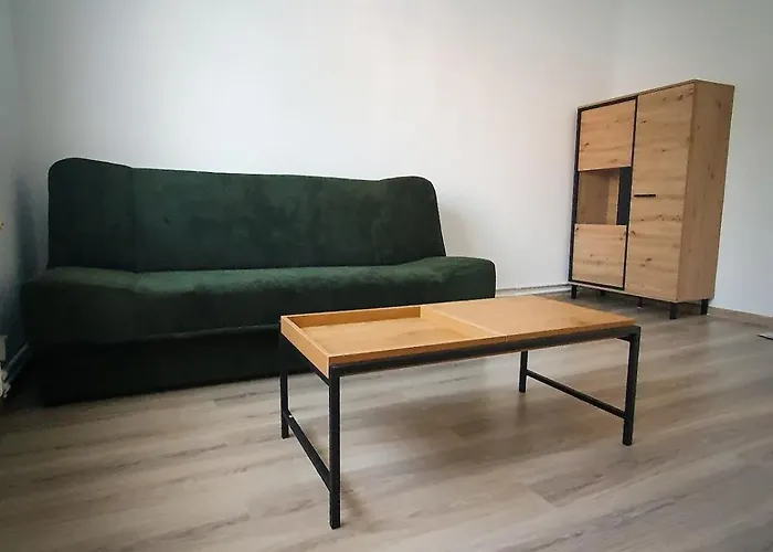 Mieszkanie W Centrum Zabrza Daire Zabrze