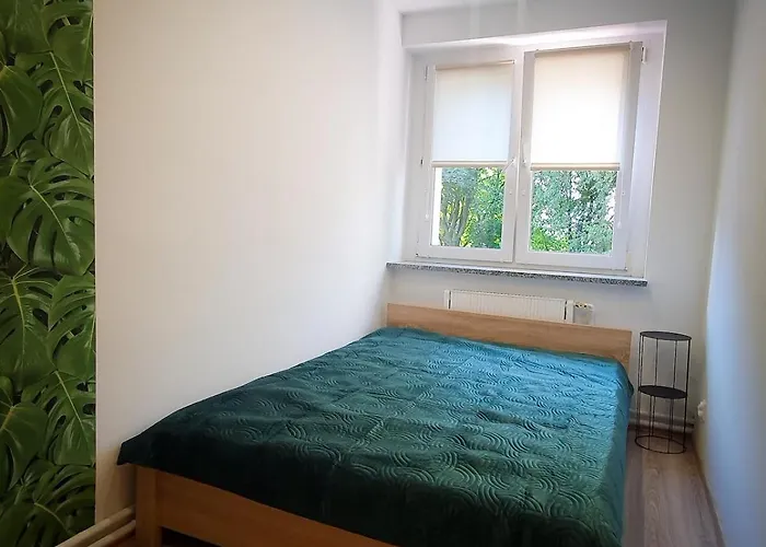 Mieszkanie W Centrum Zabrza Zabrze